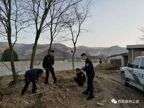 甘肃西和县爆料事件最新,揭开乡村乱象背后的真相 第2张 甘肃西和县爆料事件最新,揭开乡村乱象背后的真相 第2张